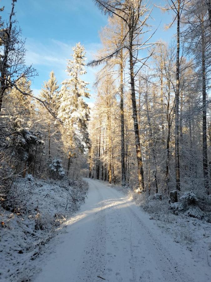 Fraenkische Linie - Radspitz-Ferienwohnungen Marktrodach エクステリア 写真